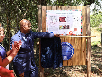 toppieshoek-ProfTinyiko