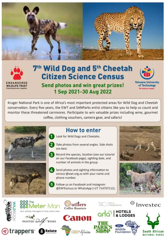 7th wild dog and 5th cheetah citizen