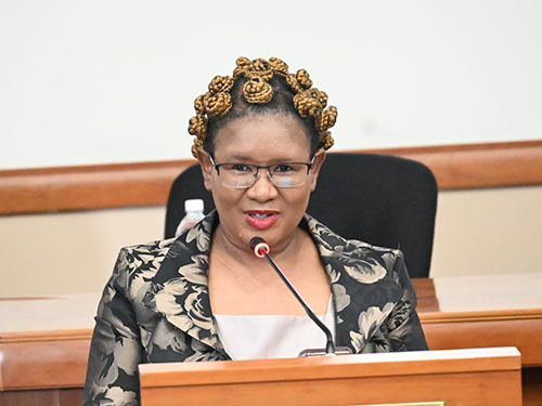Dr Vee