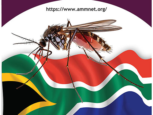 TUT strengthens fight against malaria through Mathematical modelling